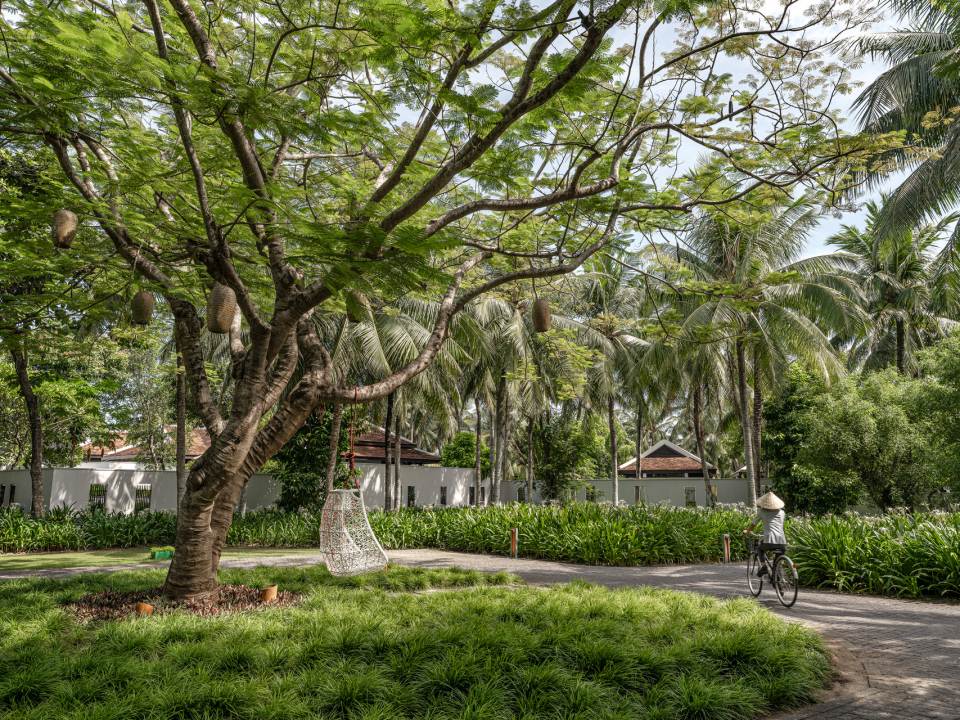 베트남 토착 식물이 자라는 리조트 내 열대 정원