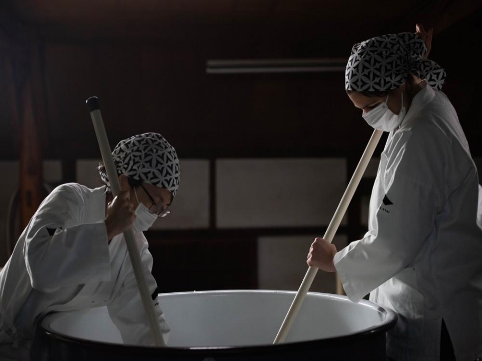[인사이트 특집] 일본 사케 마스터를 만나는 양조 투어