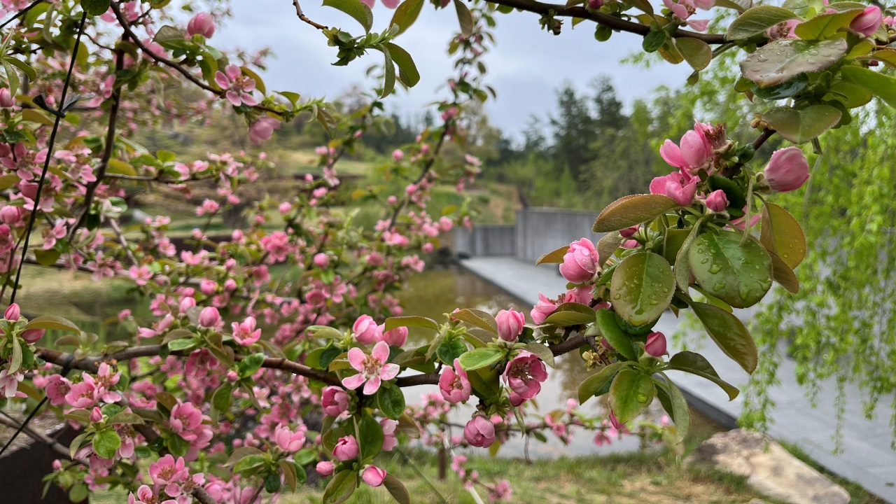 (이성임님 김천구미합류 결제용)[기차여행] 건축과 자연이 어우러진 사색의 숲, 군위 사유원 투어