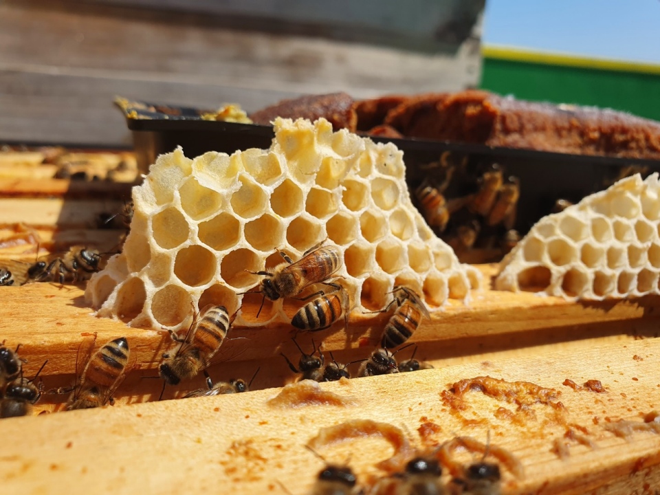 양산 오봉스테이